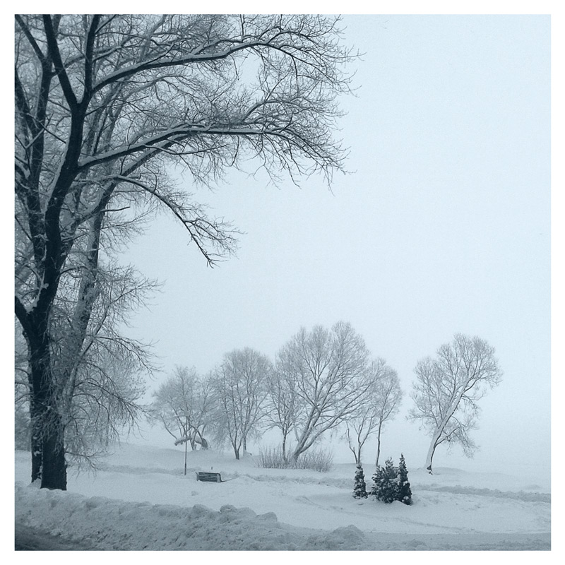 Утро туманное