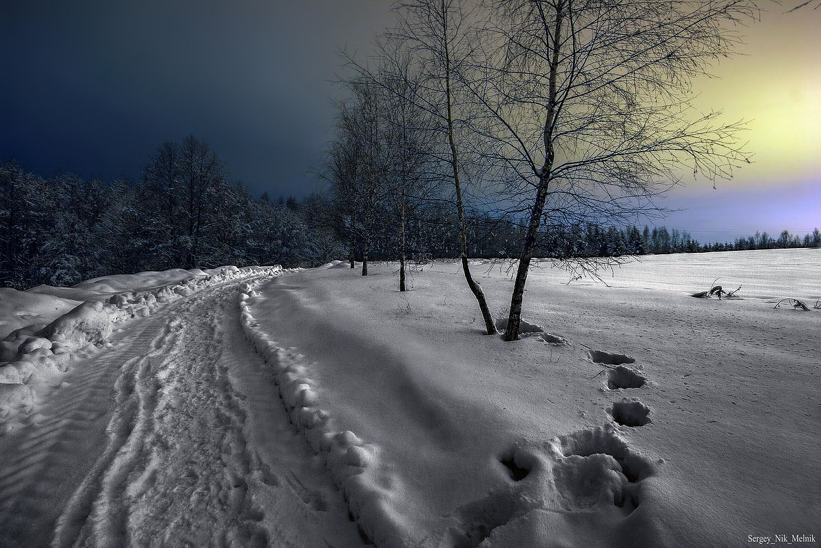 пригородная ночь