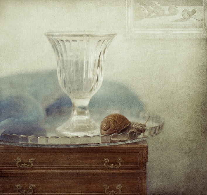 С улиткой....