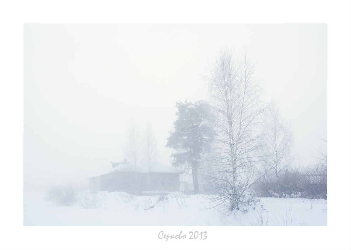 Туманное утро