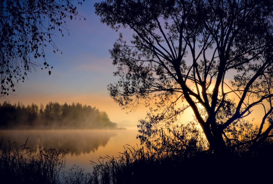 Графика рассвета