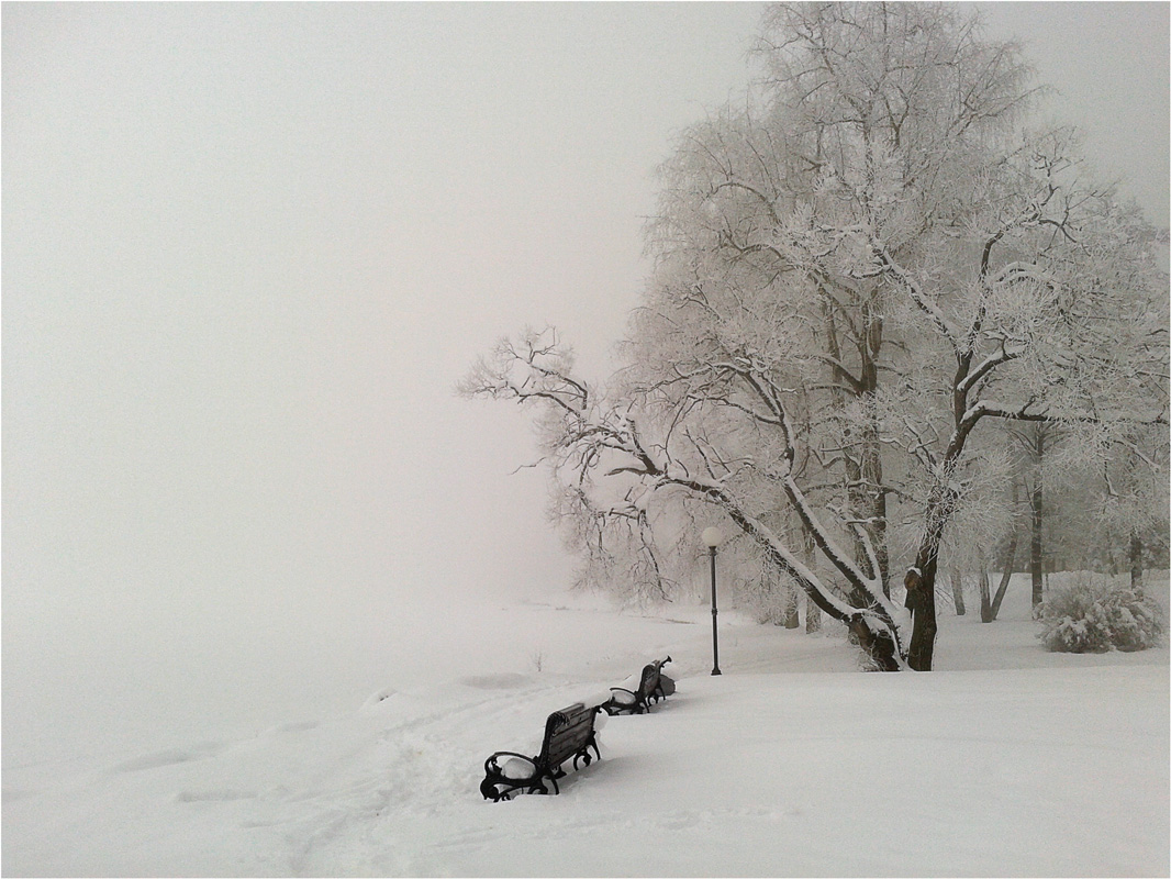 На берегу озера