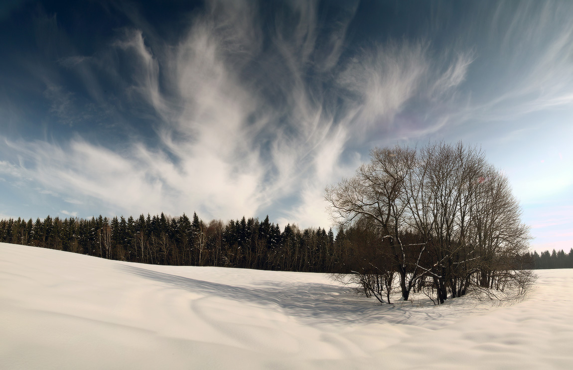 февральская тема