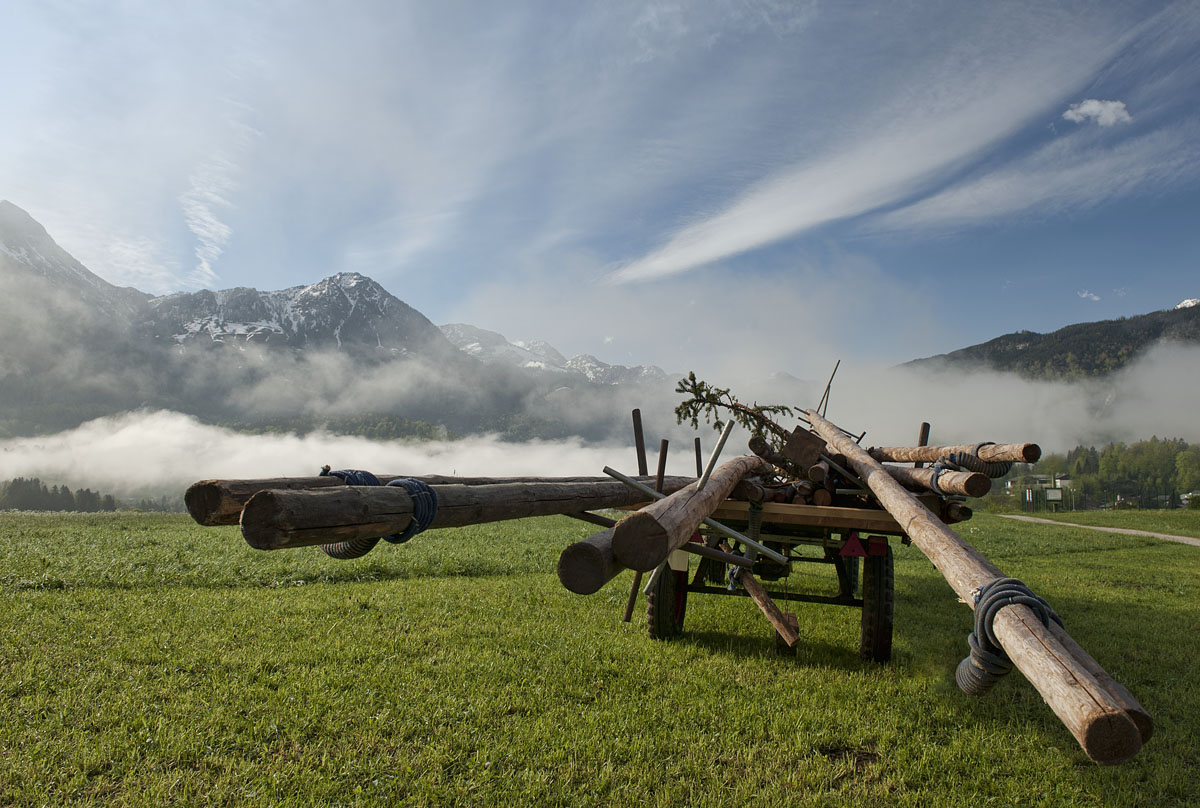 откуда дровишки, из лесу вестимо...