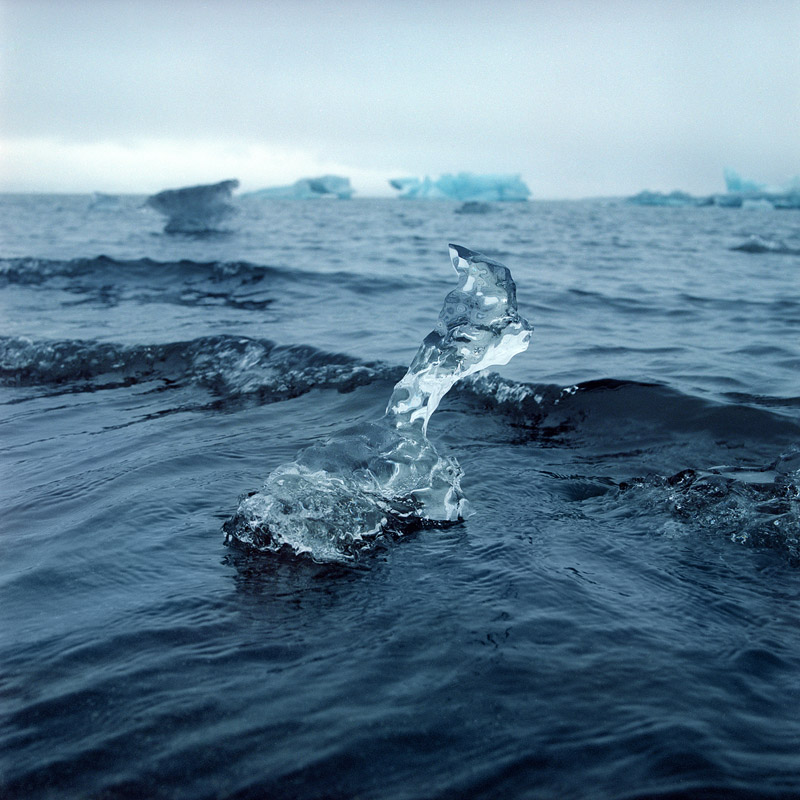 динозаврик ищет маму