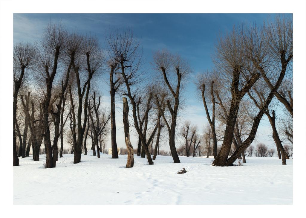 Веселые рогатки