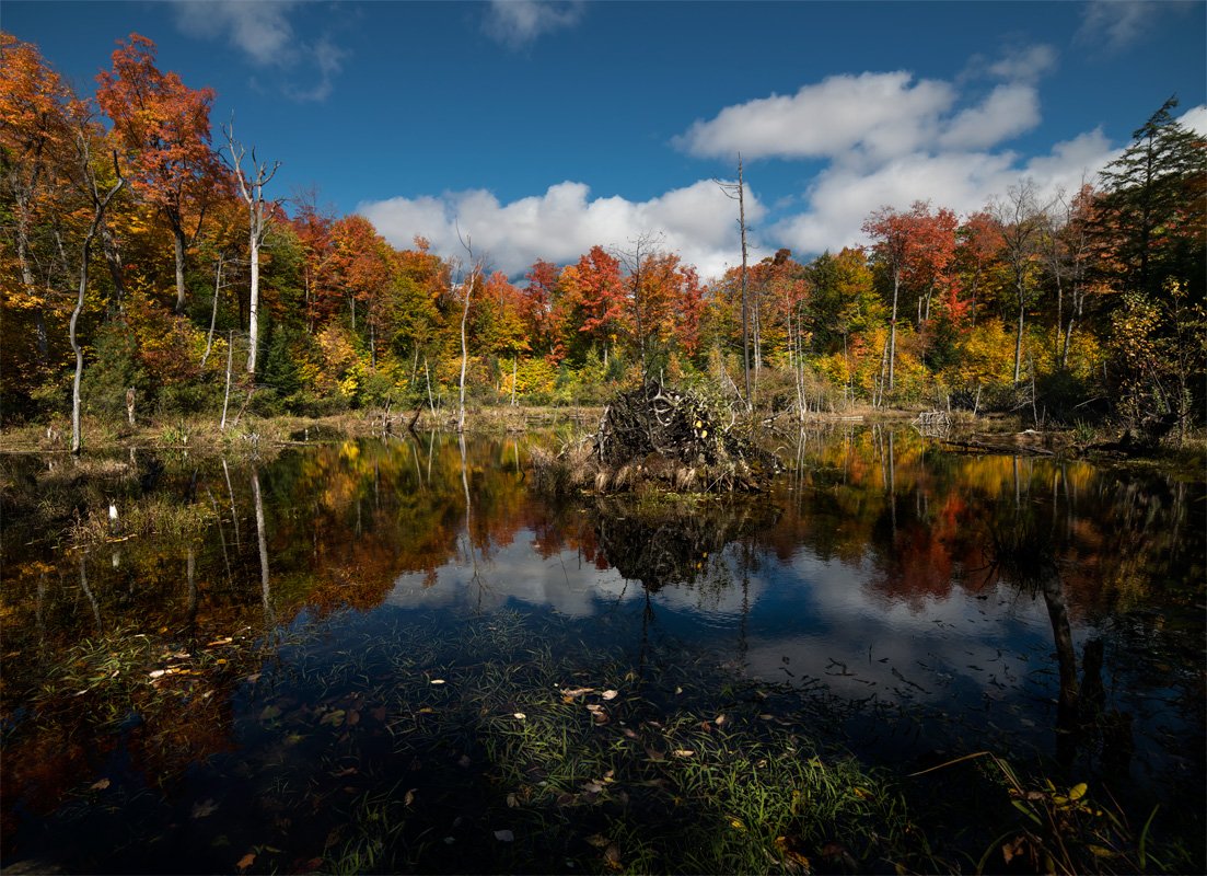 unnamed pond @ Gatineau Park