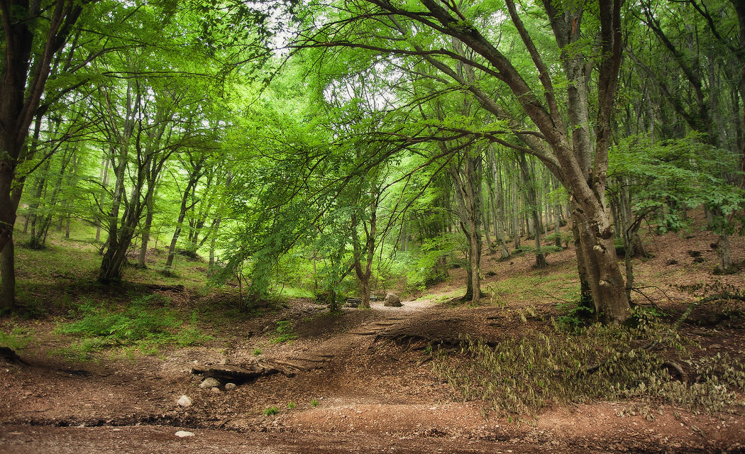 По дороге на Чатырдаг