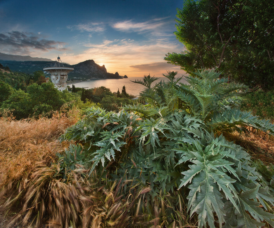 Про связь с иными мирами на фоне артишока и рассвета в Кацивели