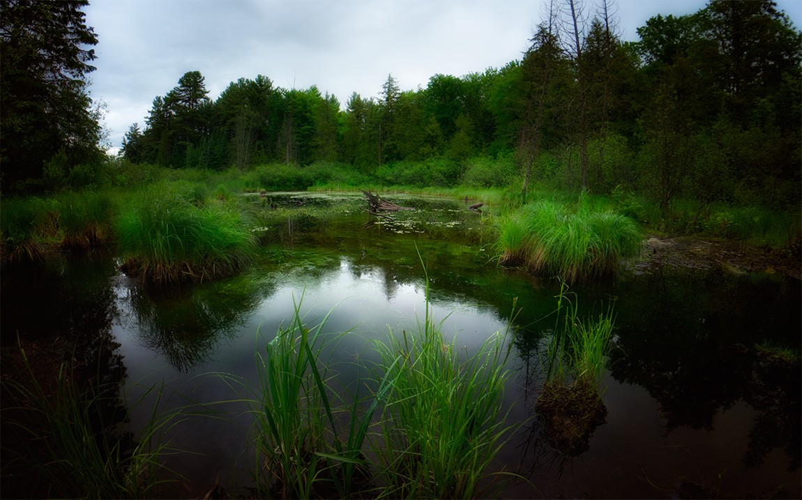 "Весна идёт, весне дорогу!" (c)