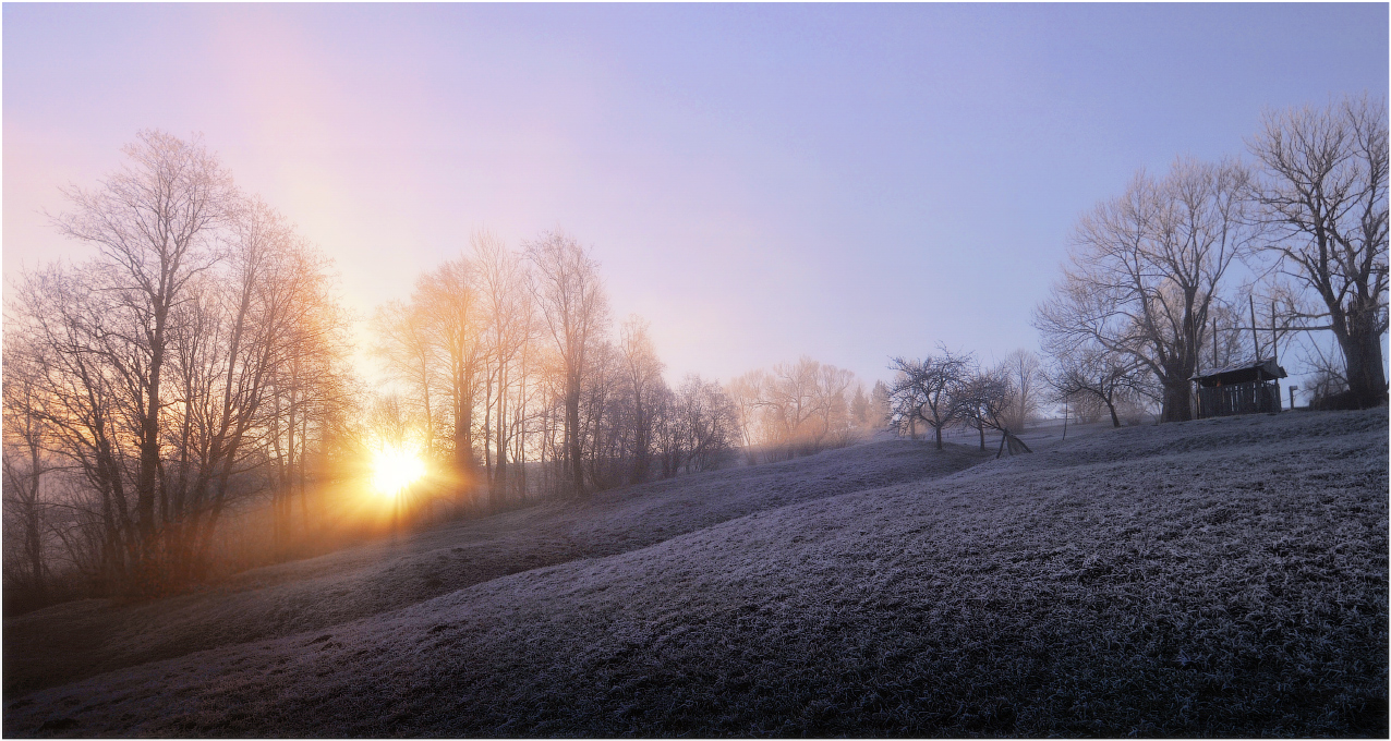 Морозное утро...