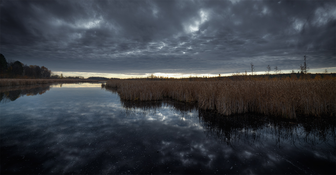 forecast broken promises