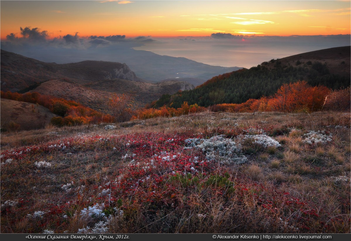 Земляничное утро на Демерджи....