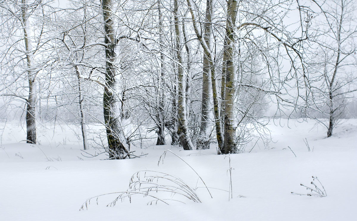 Этюд о зимней графике