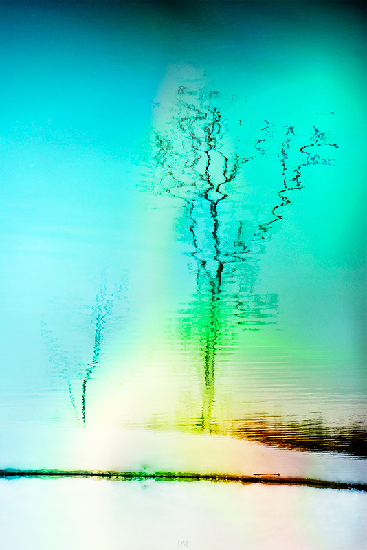 ‎[Весенняя Зима Бирюзово Разноцветная]