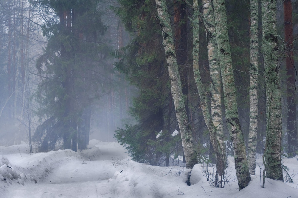 Они сами встретились...............