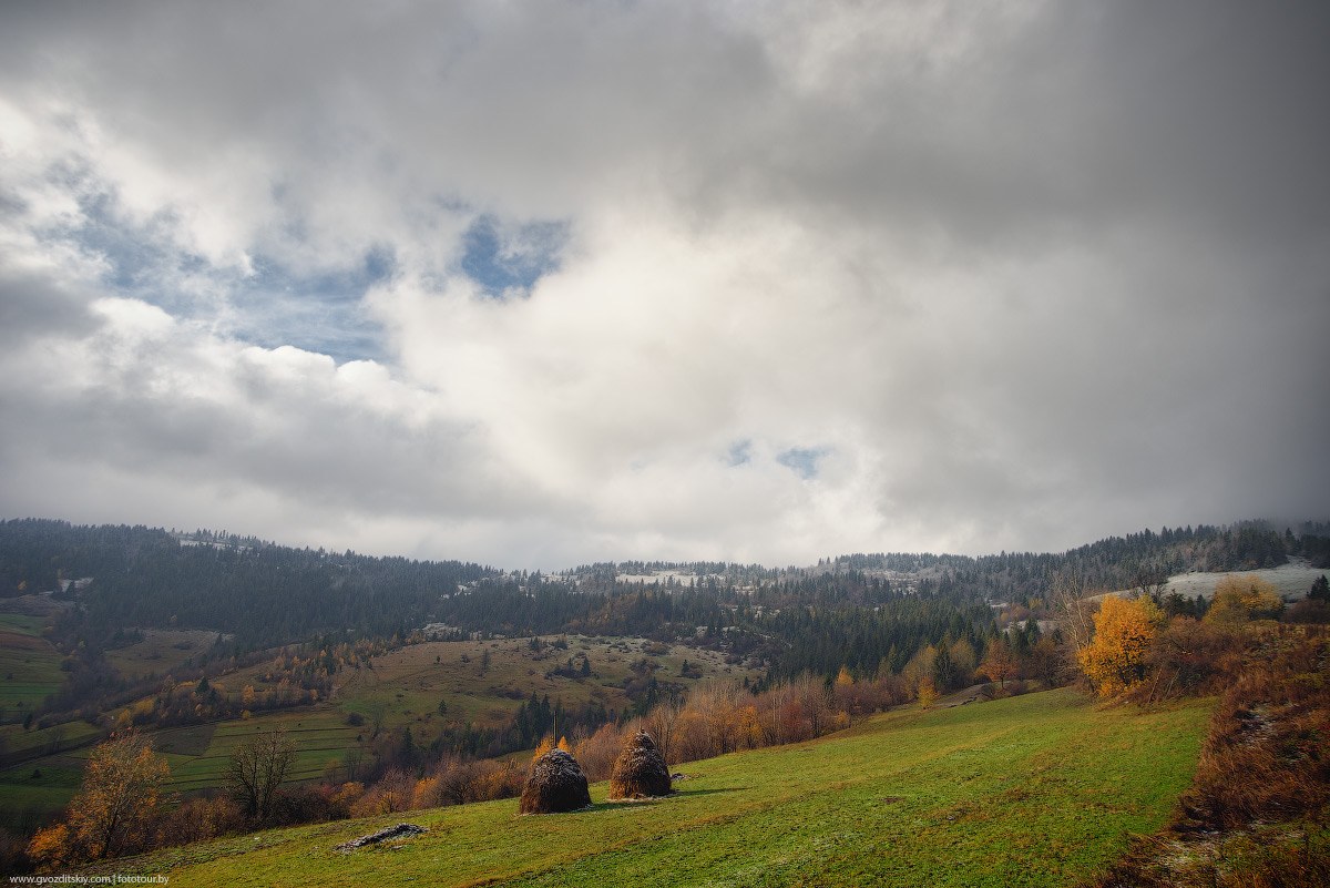 Наутро выпал снег