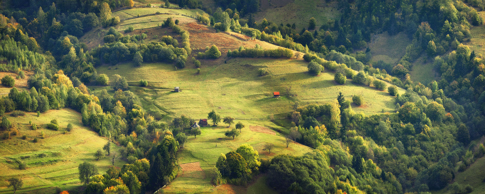 Про маленький сад на большом склоне