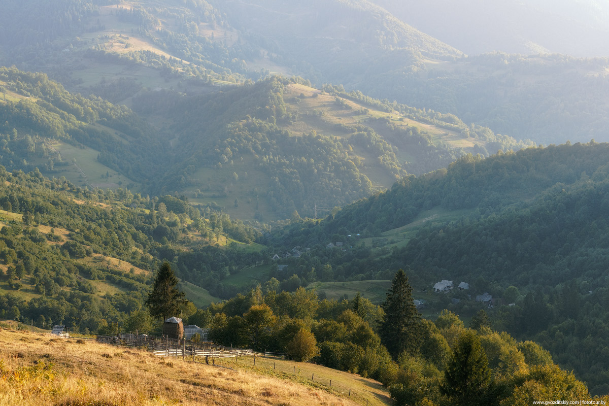 На карпатских склонах