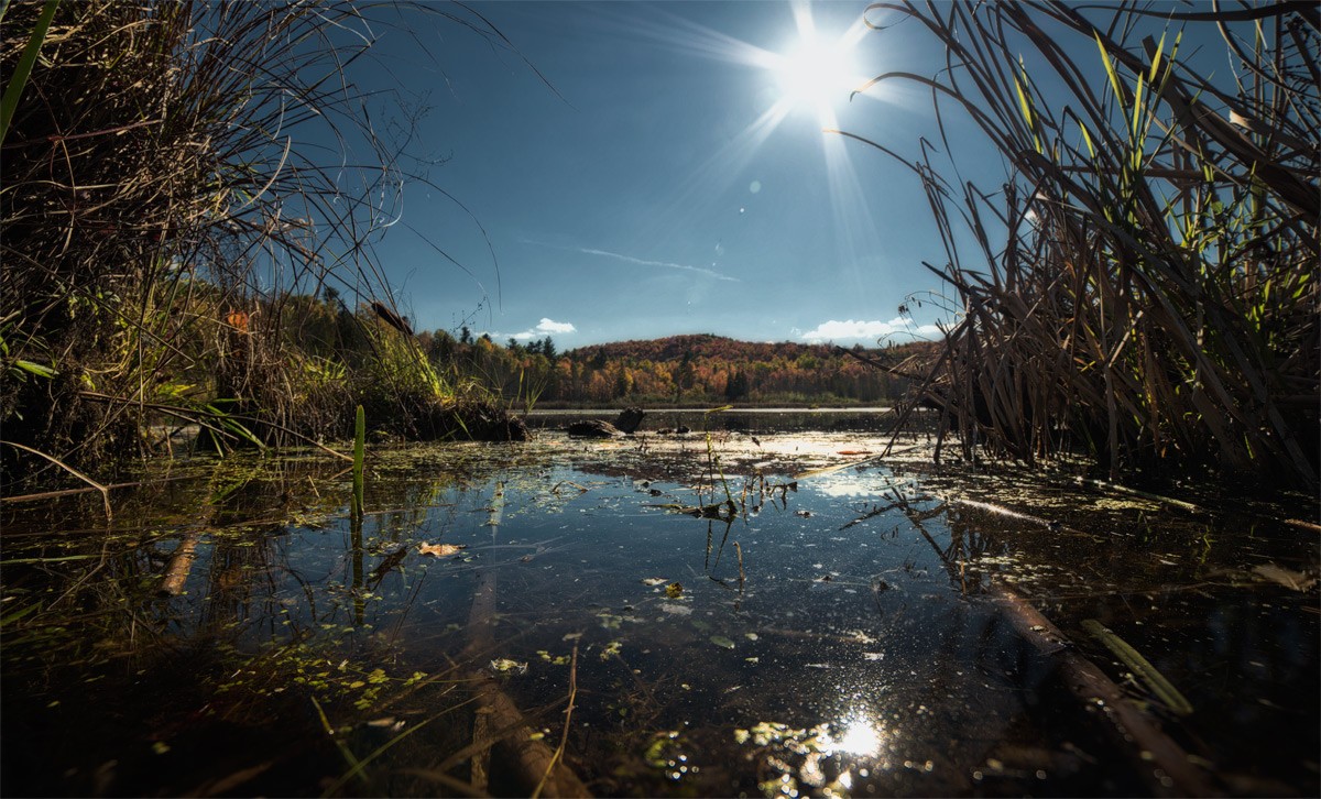 level of point a view