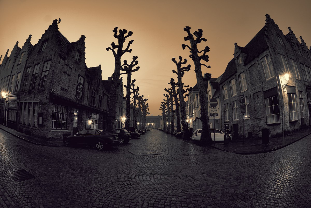 и деревья были большими...