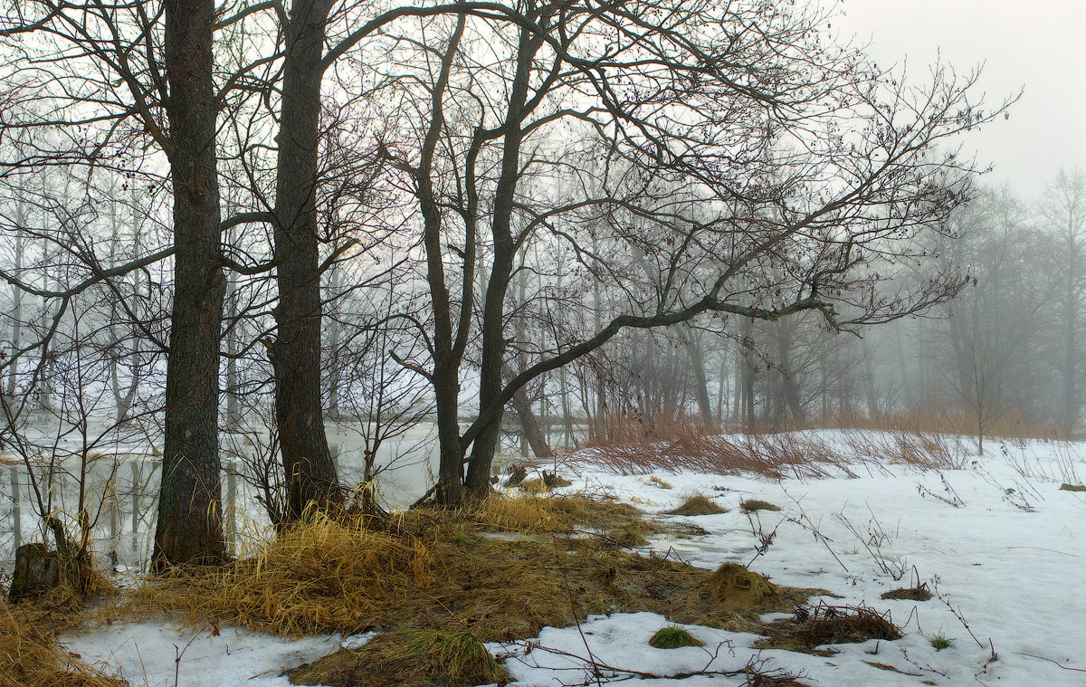 Апрельский мотив