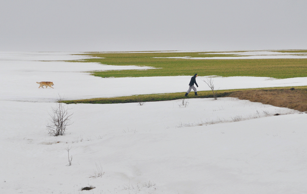 Весенняя прогулка