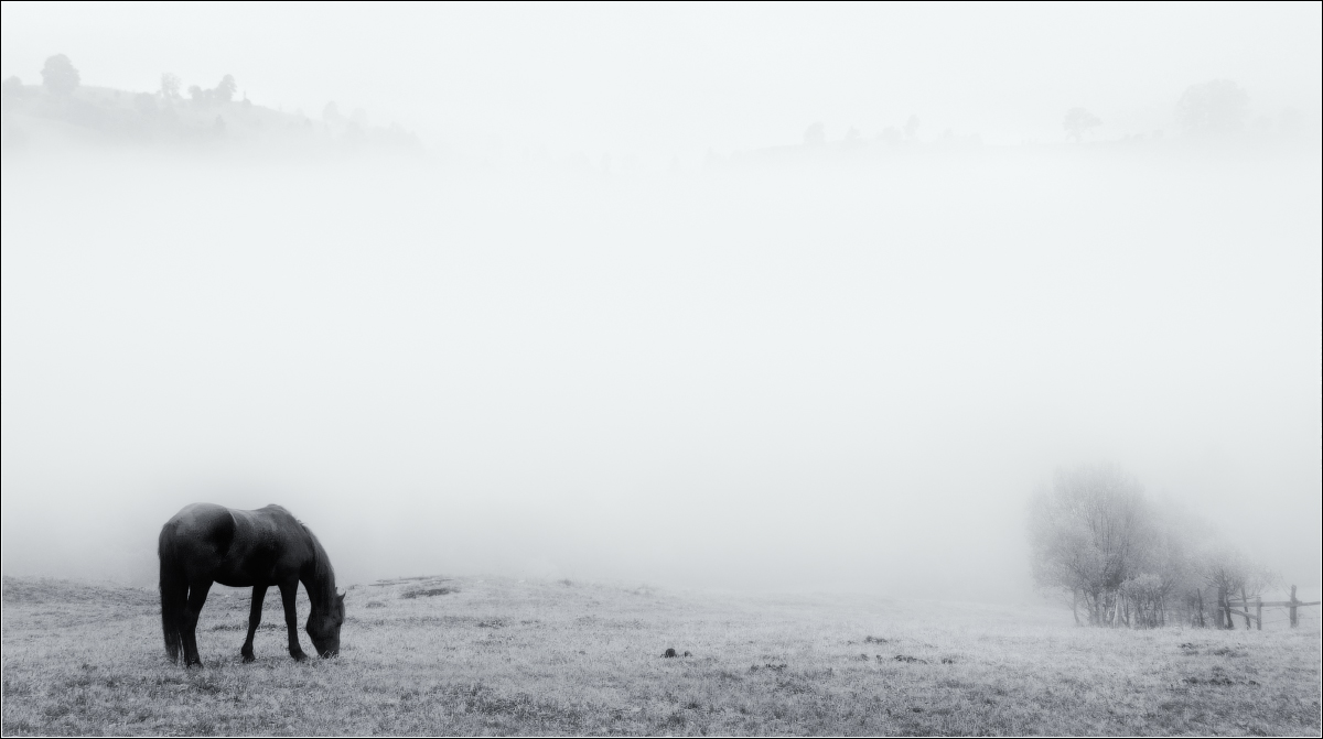 / Закарпатье.Осень.Утро ..... /