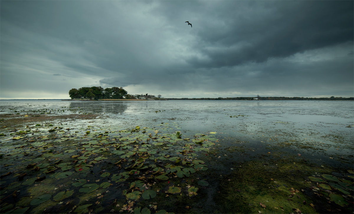 shelter of loneliness
