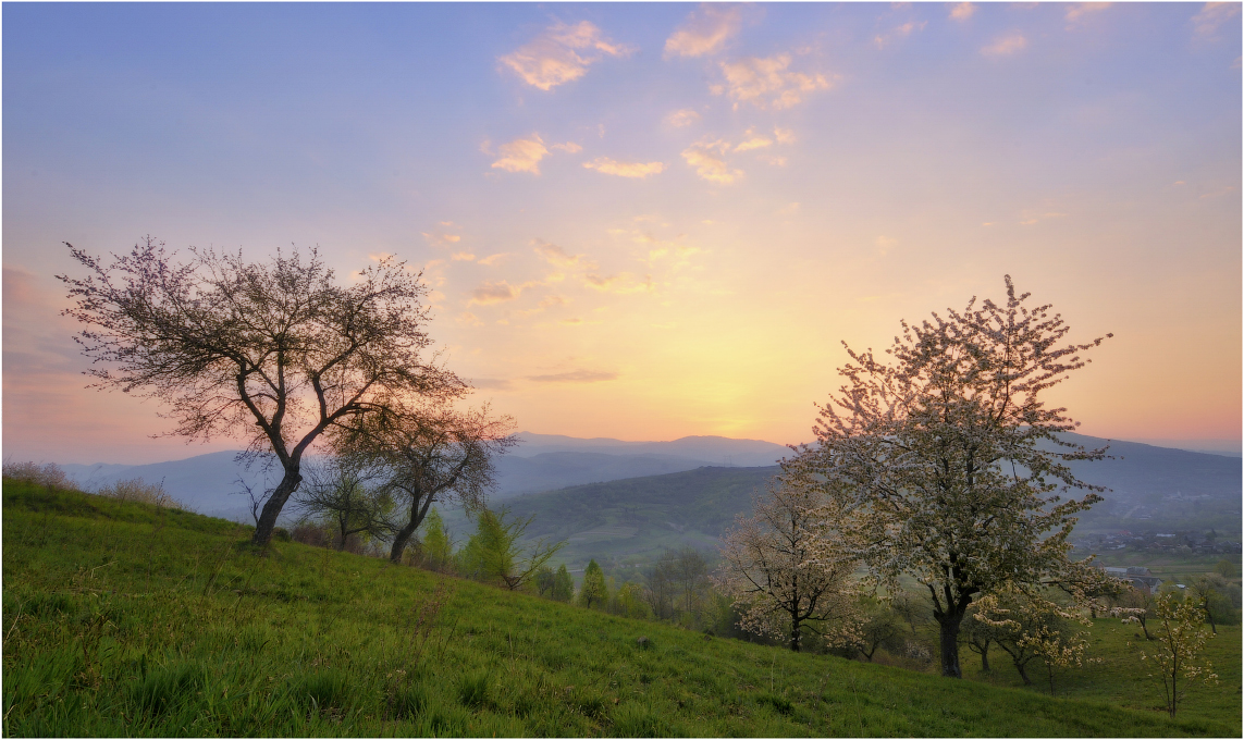 Утренне-весенняя...