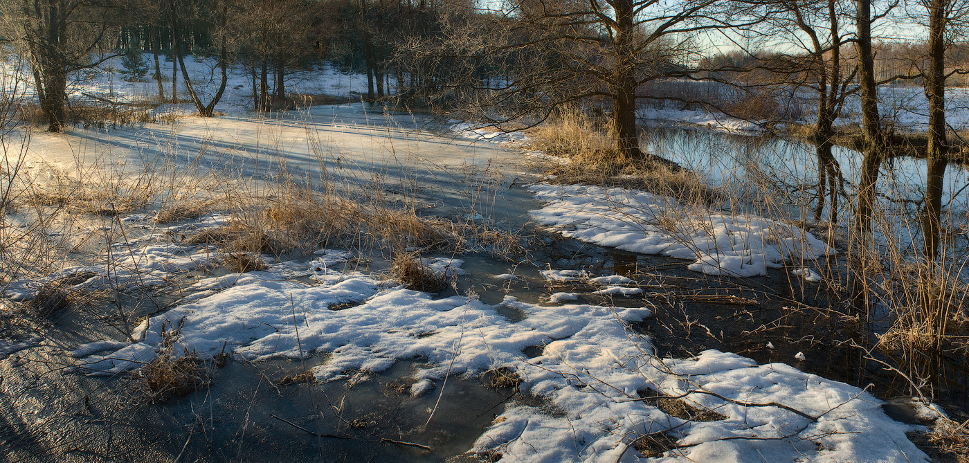 Утренняя Суворощь