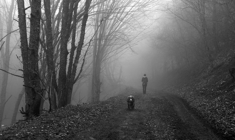 "И разошлись они