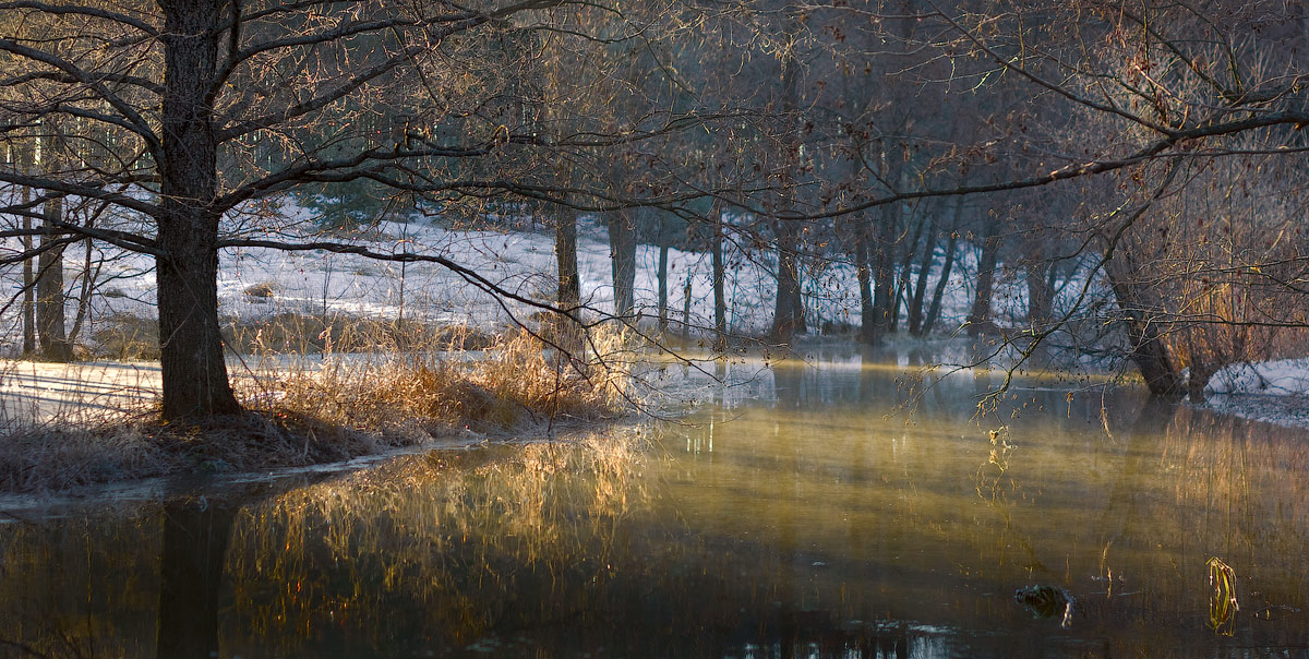 В утренних лучах