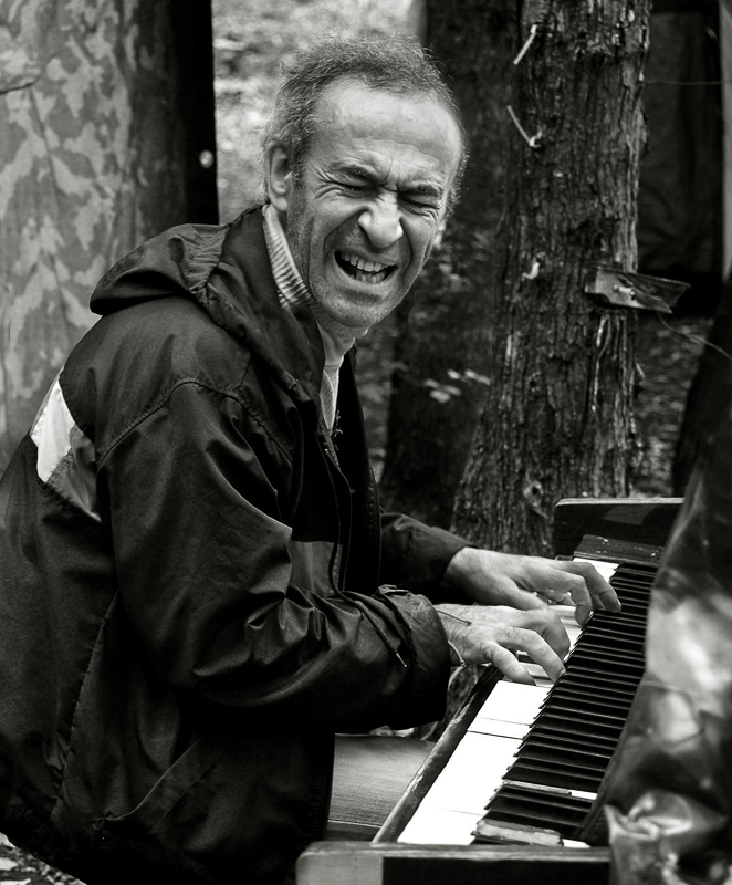 Лесной шансон