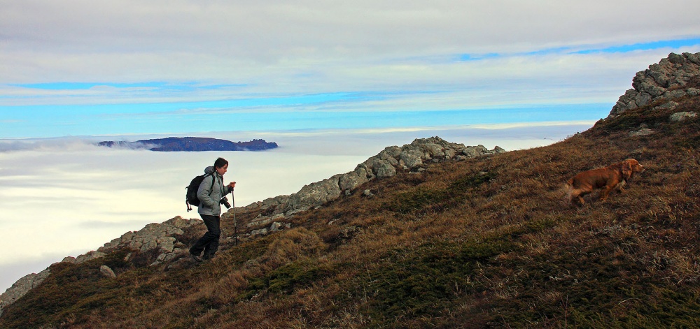 Вперед и вверх, а там