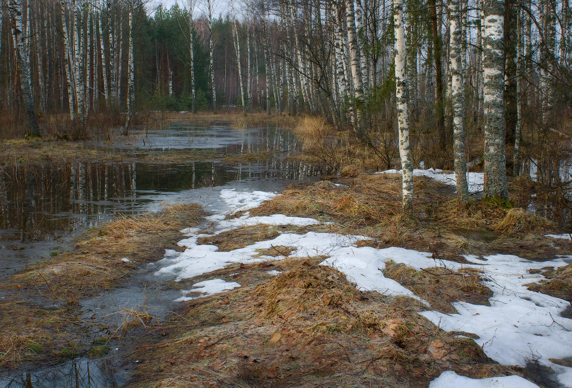Последний снег