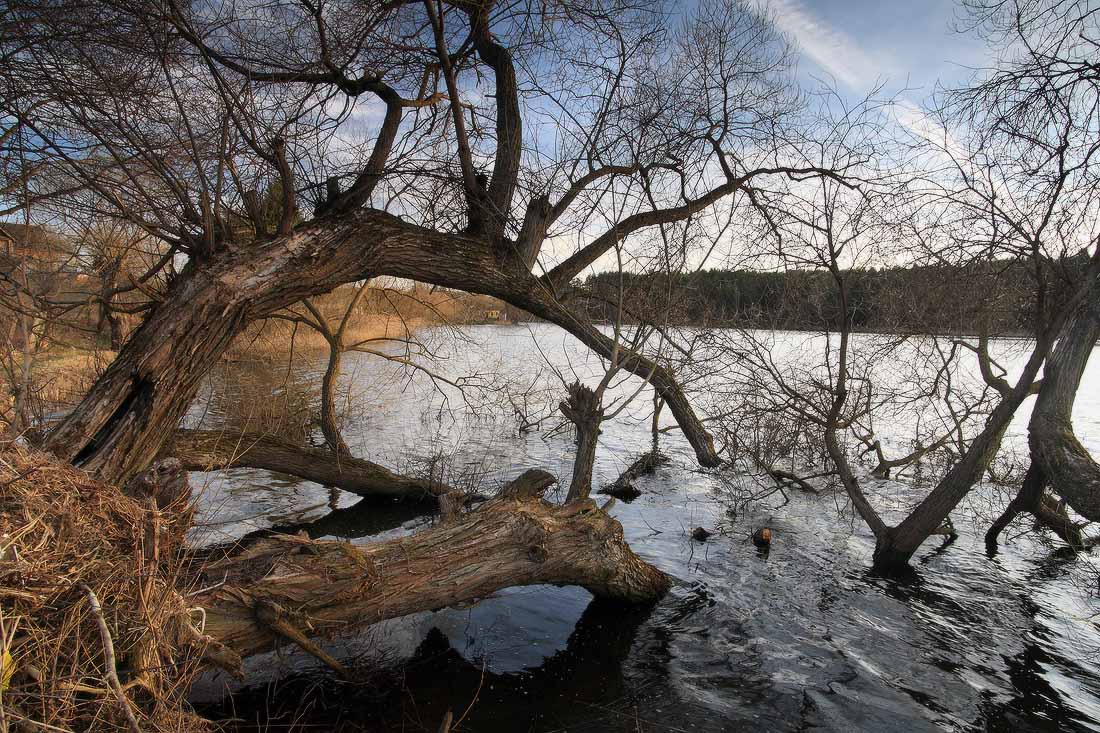 большая вода