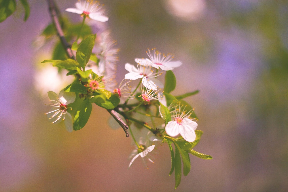 * с Вербным!