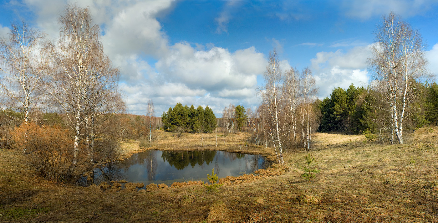 Апрель. Комары.