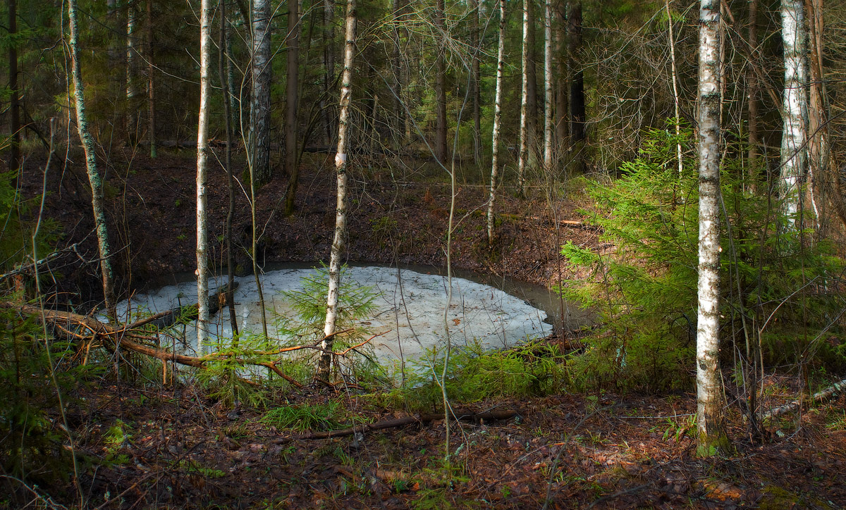 Весенние ритмы