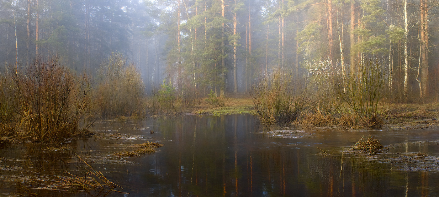 Утренний сюжет
