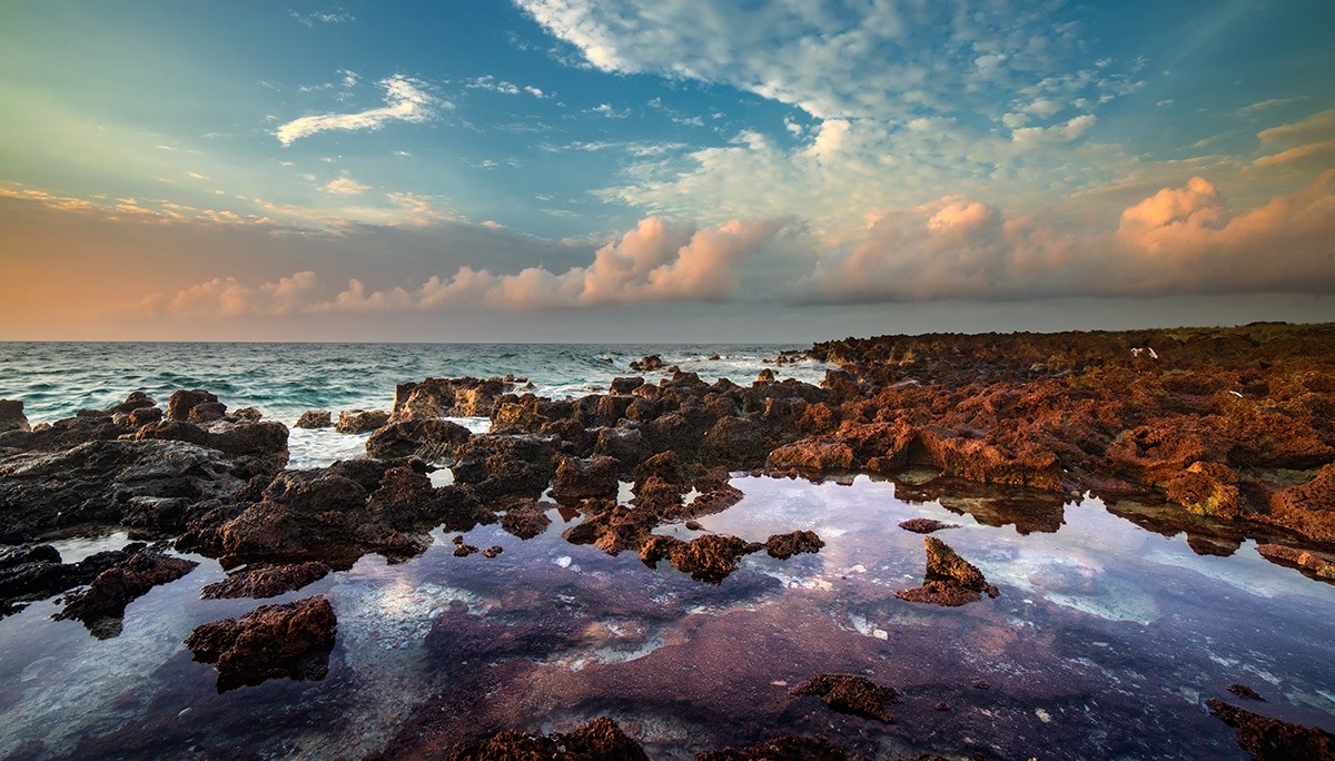 nature structure  approach