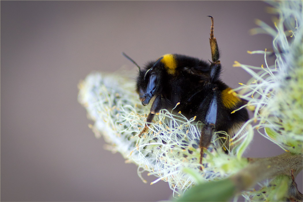 Всем привет!