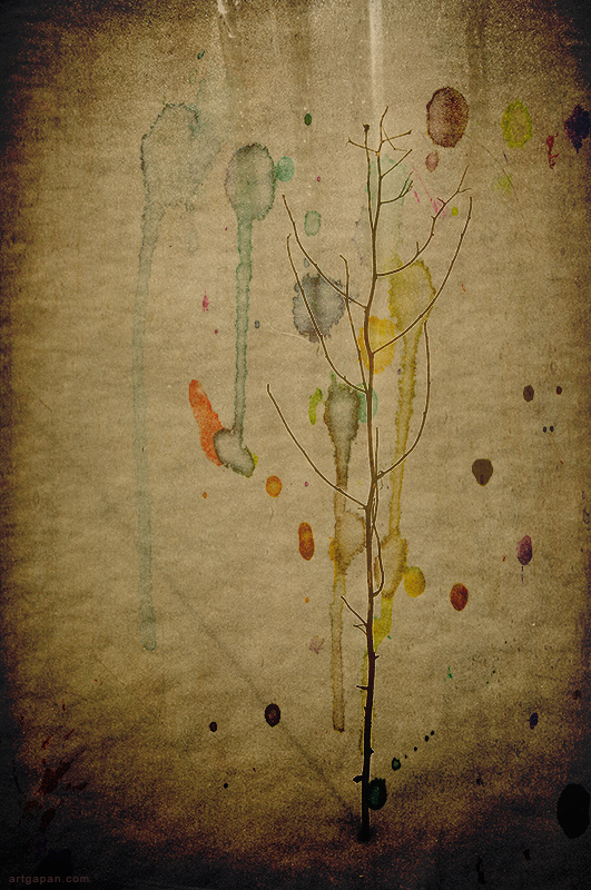 [The last song of the Woodpecker...]