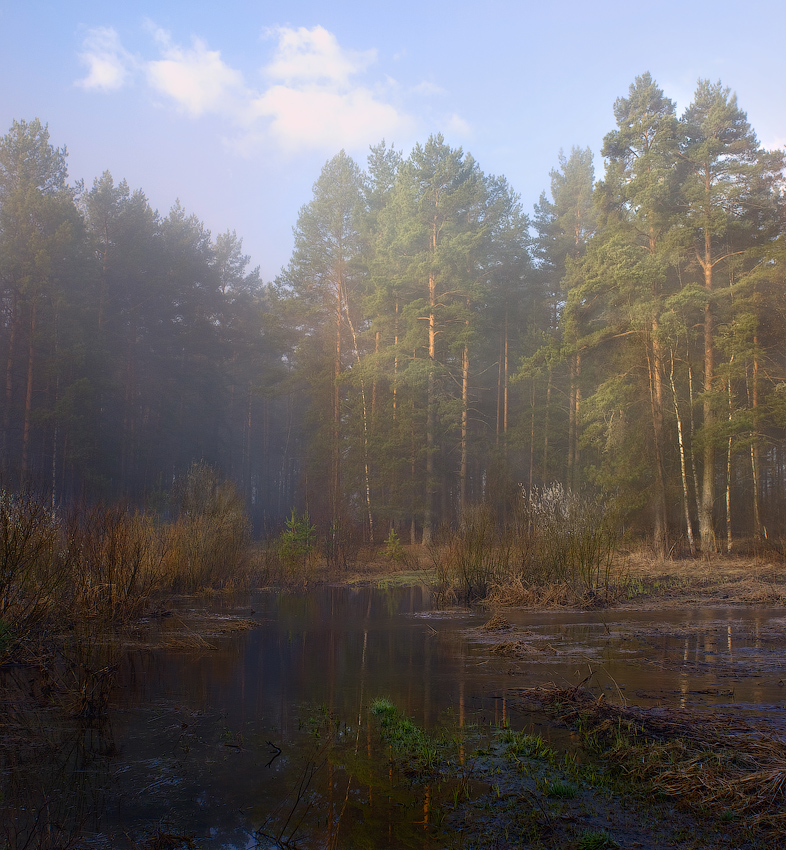 Когда туман последний исчезает