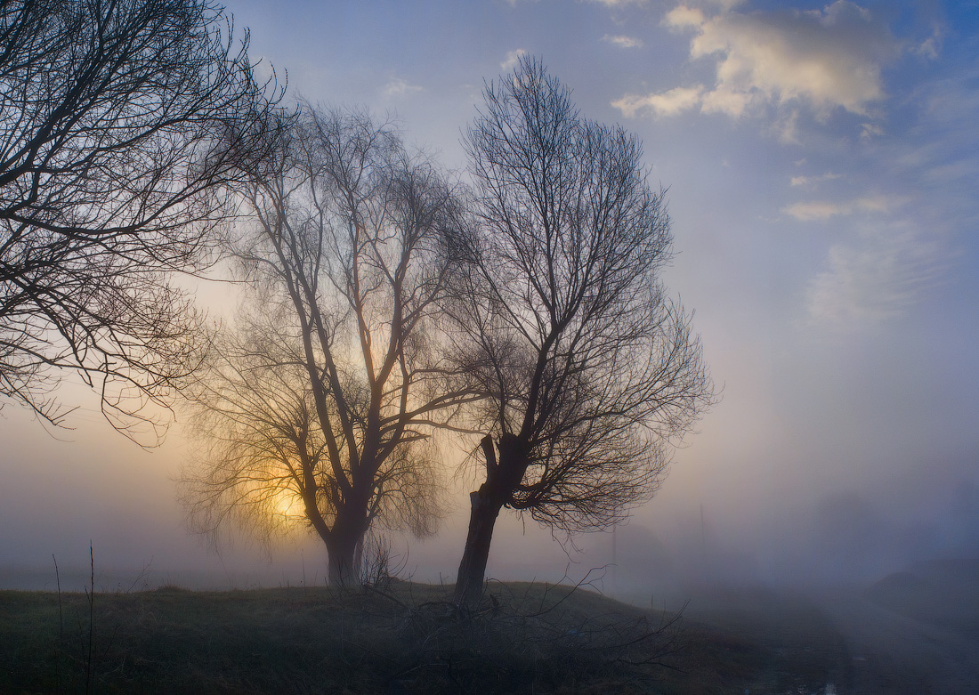 Утро для двоих