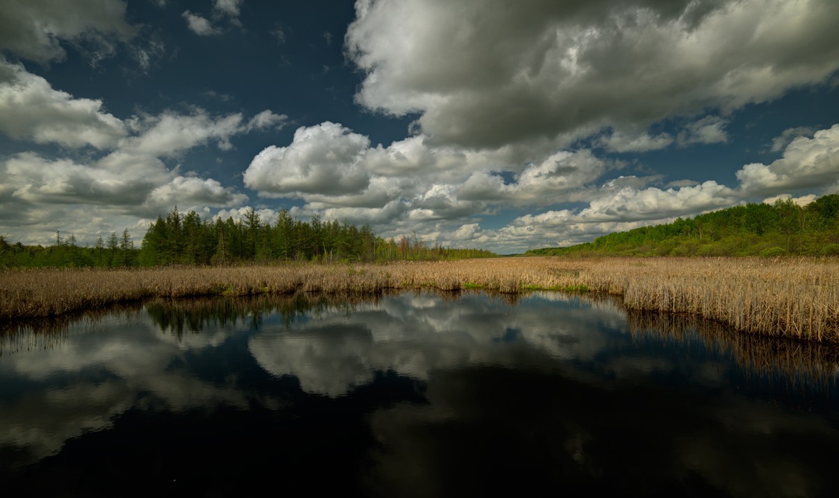 ...find yourself at home