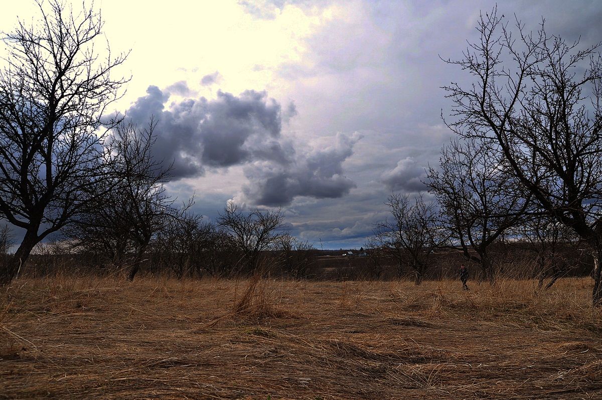 Яблони не в цвету