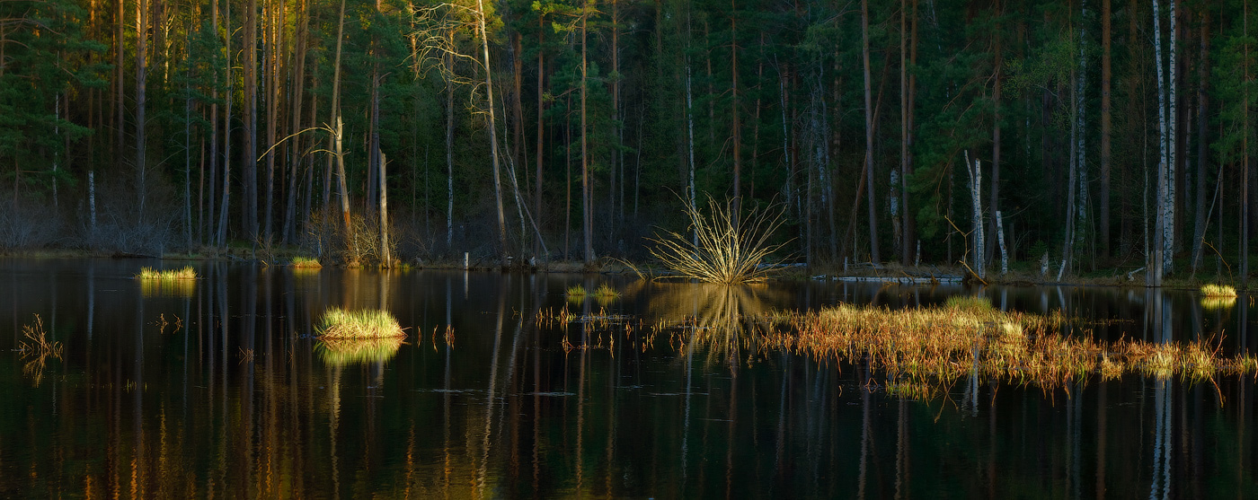 В вечернем свете