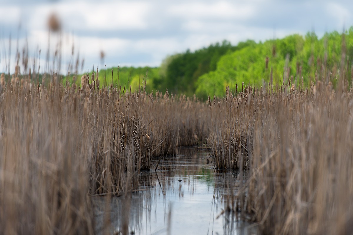 ...not a walkway path